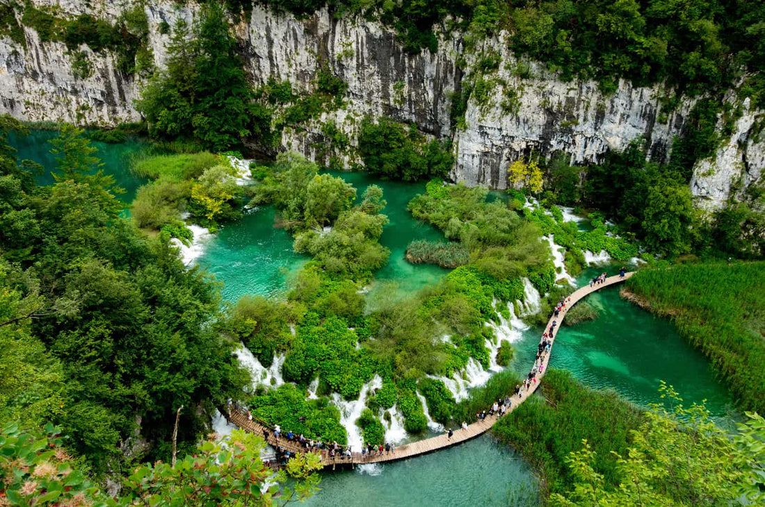 imagem de uma floresta com rios representando o ecoturismo.