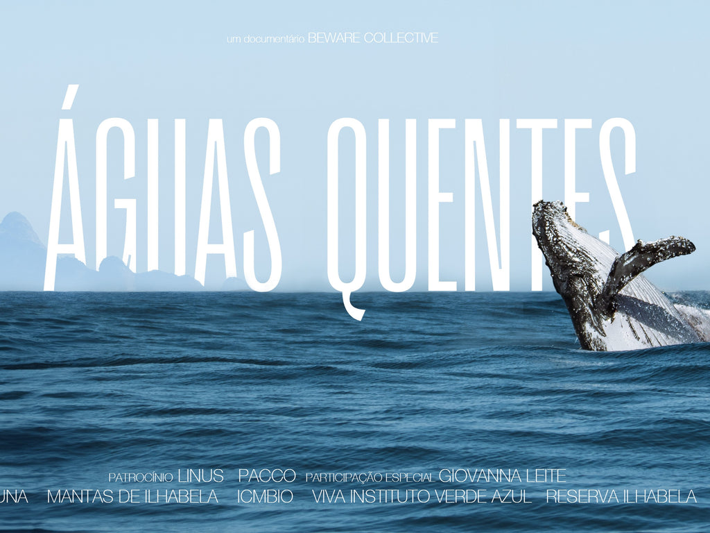 Bastidores do documentário Águas Quentes: detalhes da expedição, baleias jubartes e Ilhabela por Beware Collective