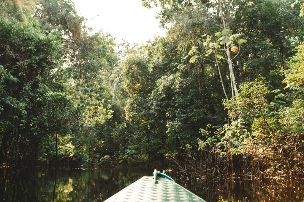 Fotografando a Amazônia: dicas de viagem e relatos, por Giulia Morales
