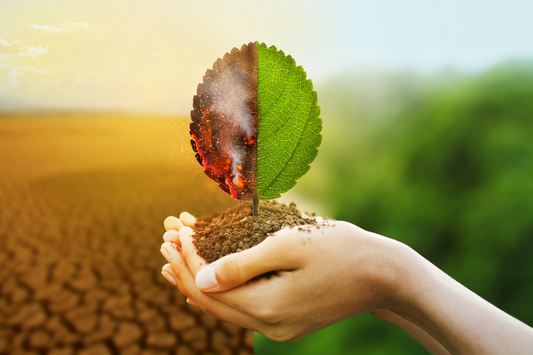 imagem representando mudanças climáticas.