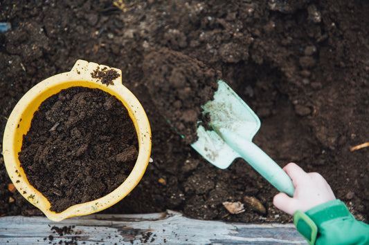 Compostagem: Guia essencial para começar a fazer a sua!