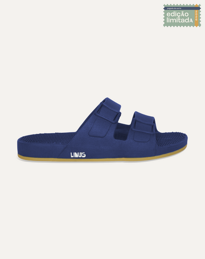 Linus Brasil Marinho