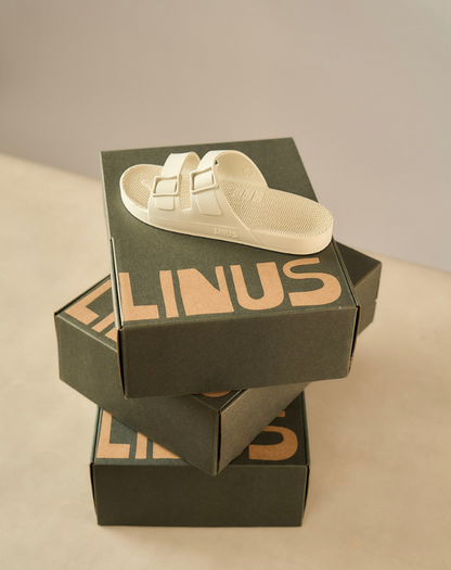 Caixa de Presente Linus