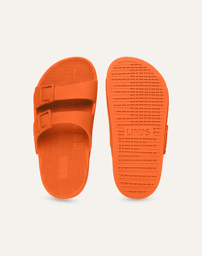 Mini Linus + Baw Ácida